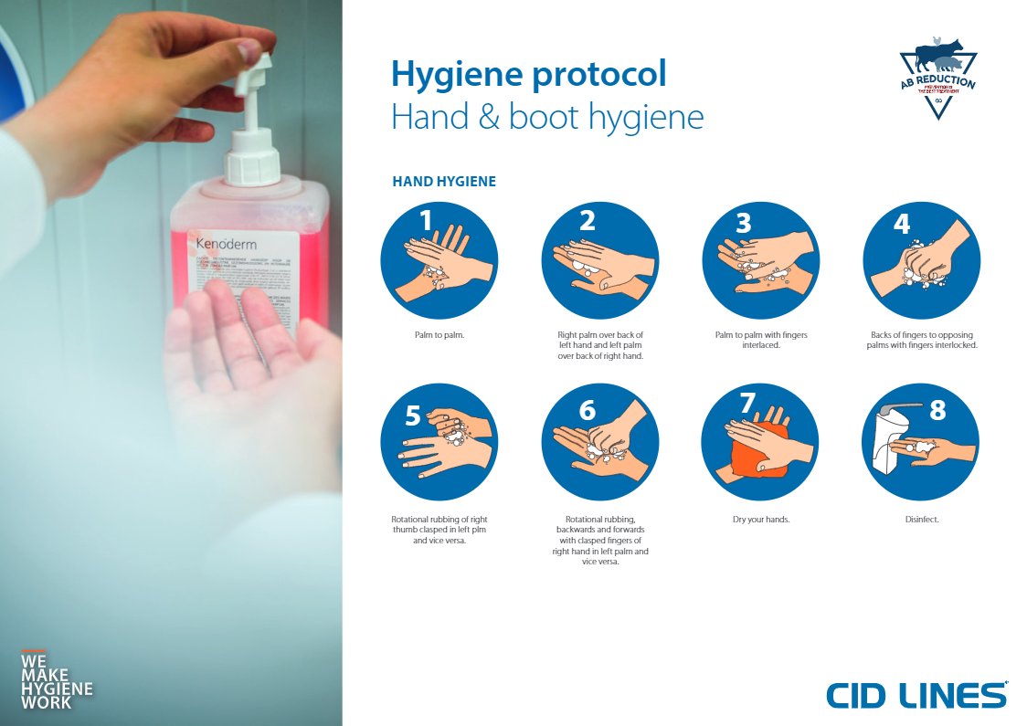 Handhygiene