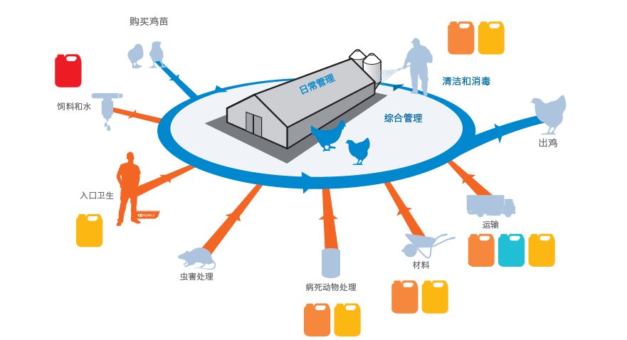 AI infographic 2