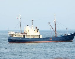 Well boats