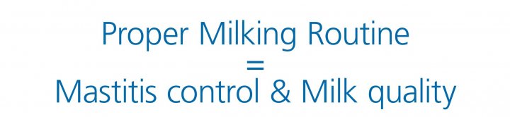 Proper milking routine