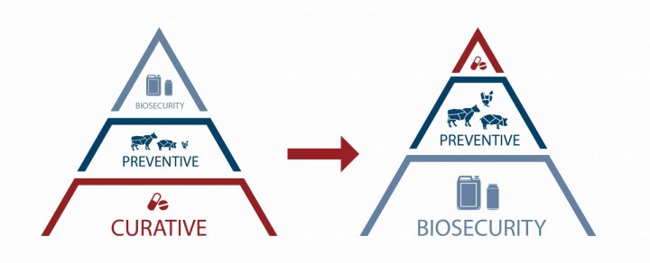 Antibiotica reductie in België