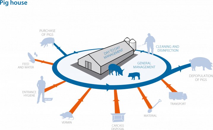 Critical points on the pig farm: introduction