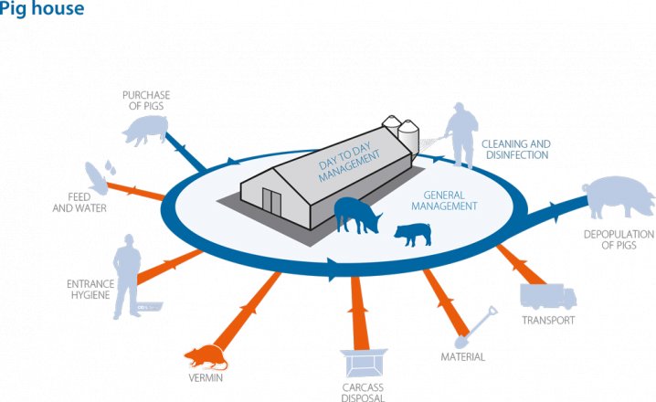 Critical points on a pig farm: Vermin control 