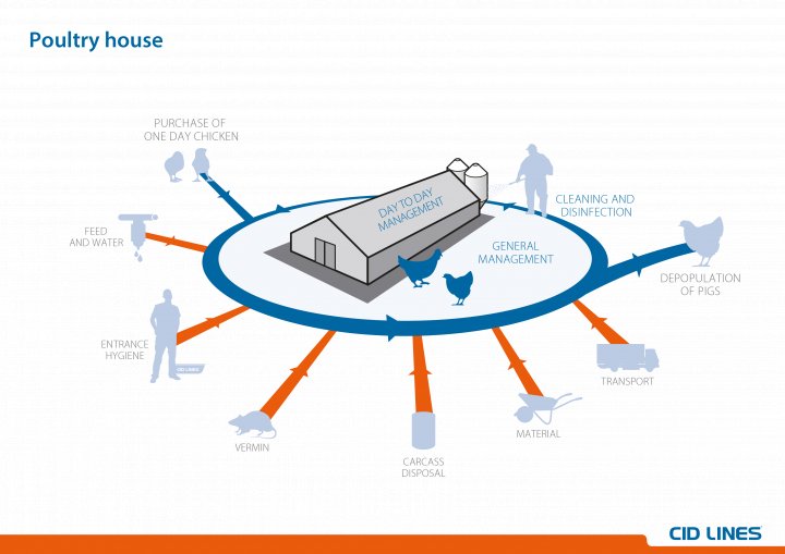 Critical points on the poultry farm: general management