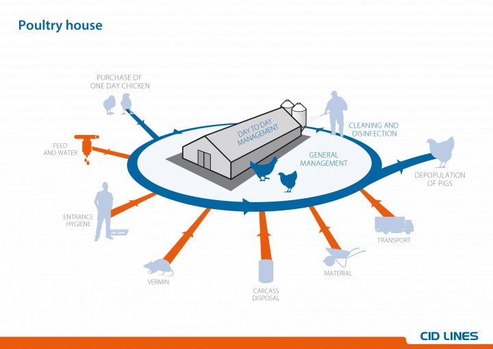 Critical points on the poultry farm: introduction