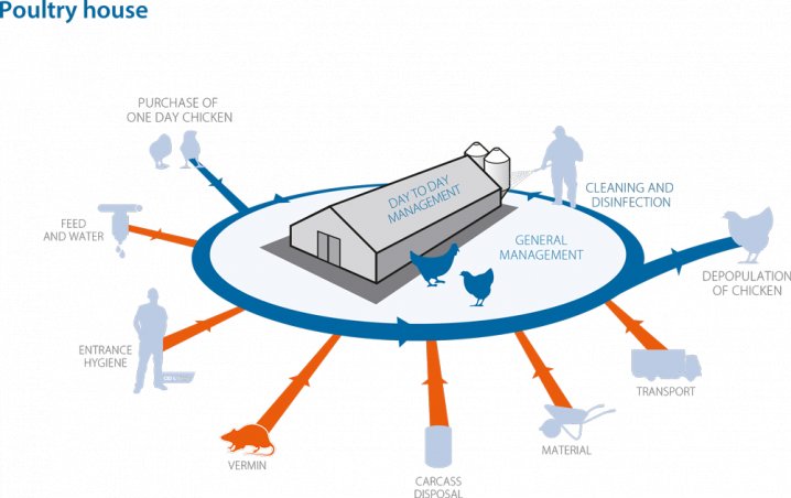 Critical points on a poultry farm: Vermin control