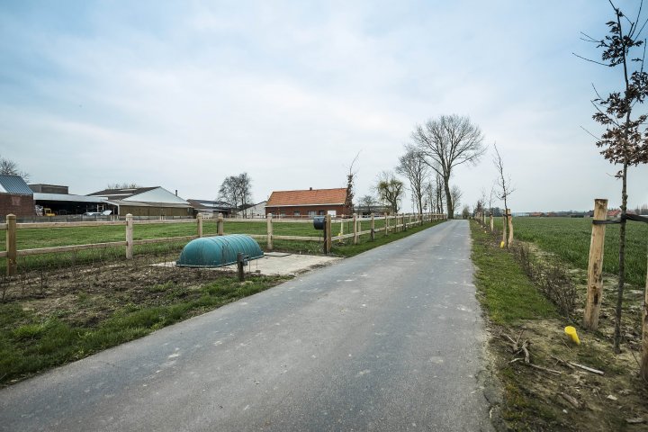 Critical points on the pig farm: Carcass disposal and waste